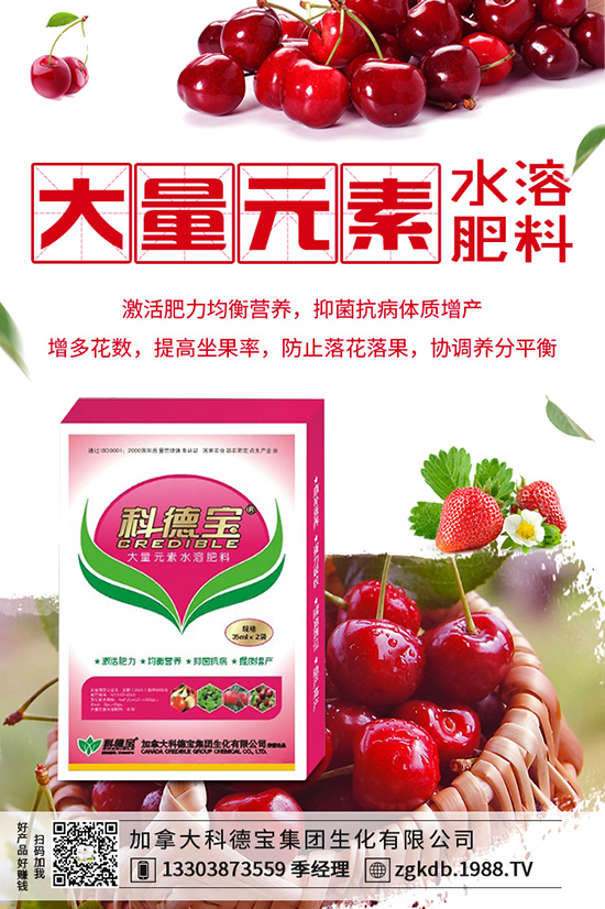 ������(ji��)�N��ᘹ����������������(ji��)��ᘹ�����������