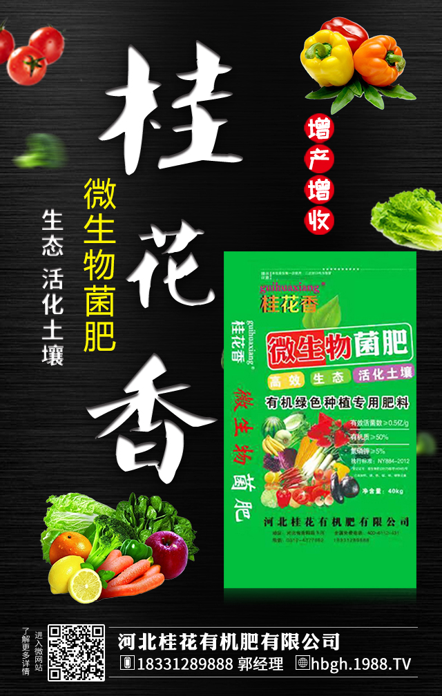 �ӱ����ЙC(j��)�����޹�˾1