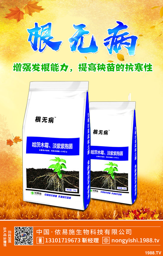     �����ǟ���߀�Ǜ������c������˵�ʳ������Щ��