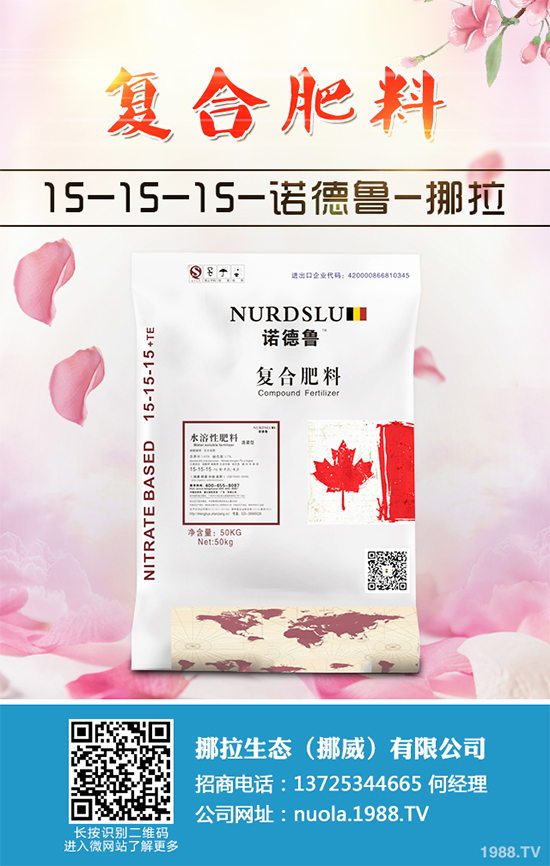 ���[ԓ���������������[�߮a(ch��n)���gҪ�c