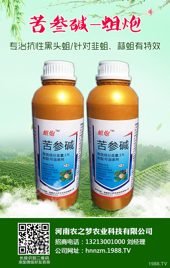 ��ĸ�ݵĹ�Ч�c���ã���ĸ�ݵ�ʹ�ý�����