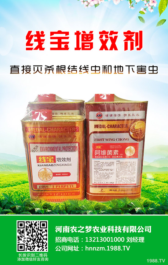 �۲˰l(f��)ѿ����ν�Q���۲˵Ĵ�ѿС������