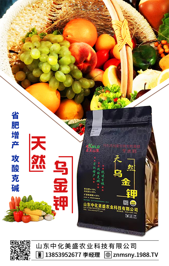 �۲˞�ʲô�����F(xi��n)�������۲˿��ĵķ��δ�ʩ��