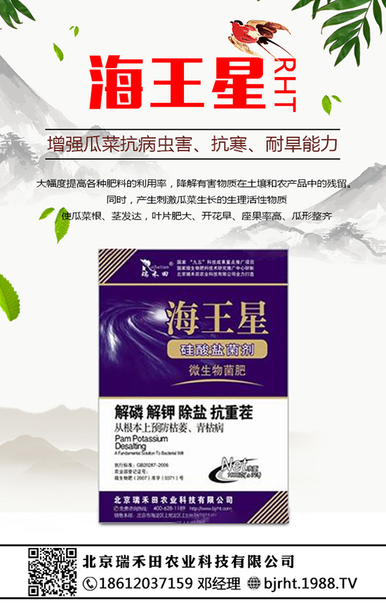 ���N�����B(y��ng)�������N���B(y��ng)ֳ������ע�����(xi��ng)��