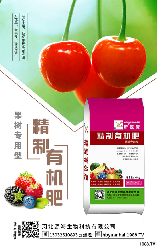 2020���㹽�Nֲǰ�������2020���㹽�Nֲٍ�X�᣿