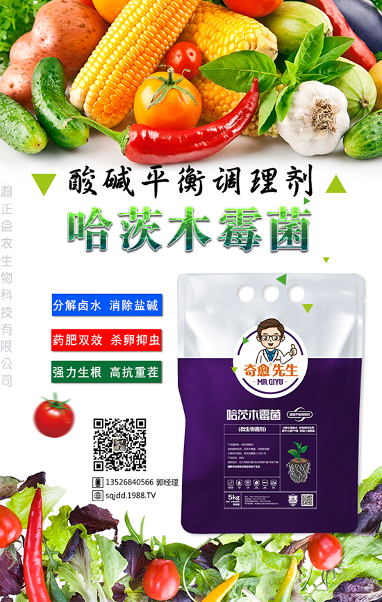 ������r����Ƽ����޹�˾