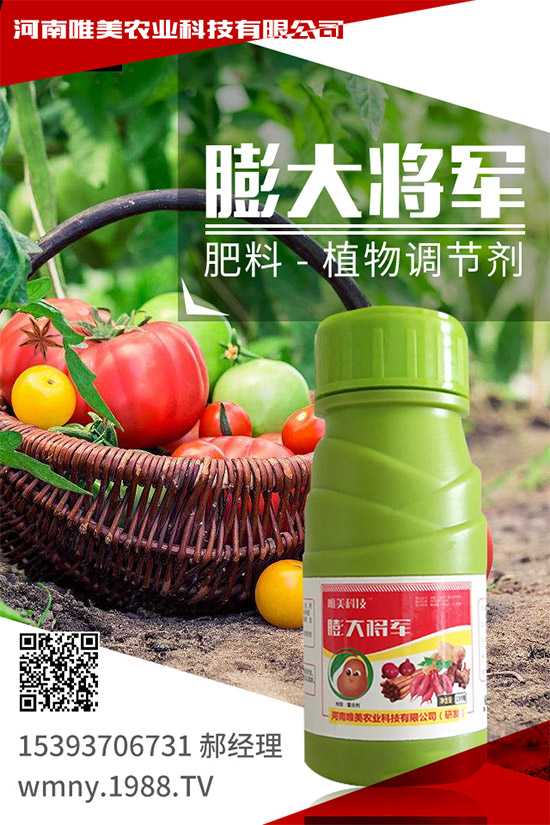 ������ô�Nֲ�������߮a(ch��n)�Nֲ����