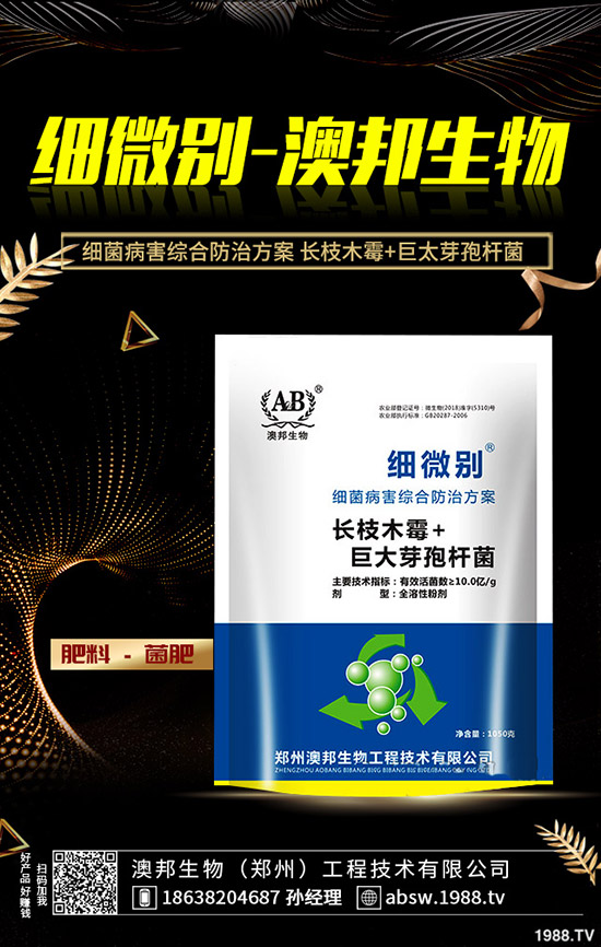 ˮ������ʲô����(ji��)�Nֲ��ˮ���ҵķNֲ���g(sh��)��