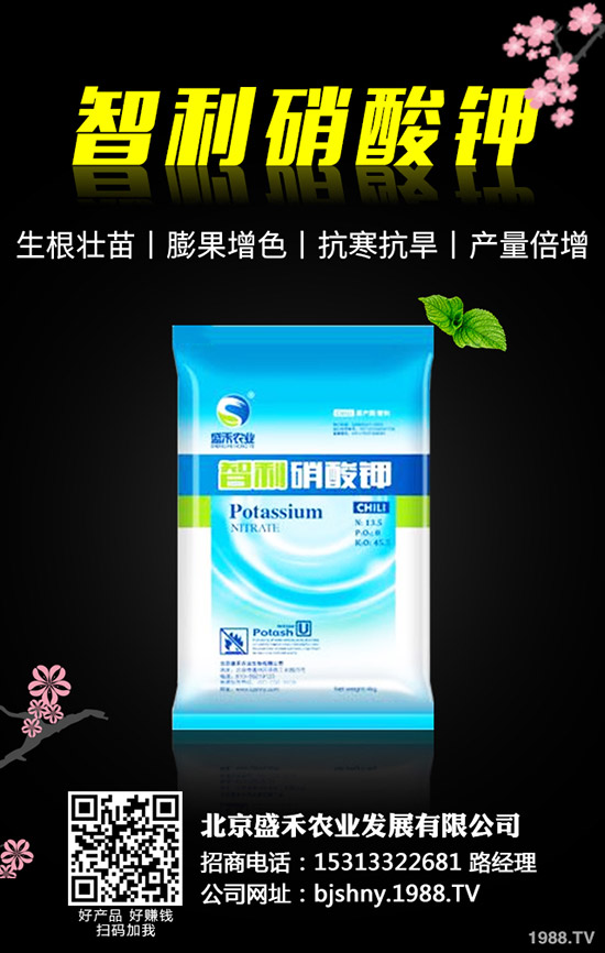 �ڶ�ʲô�r(sh��)��Nֲ���ڶ��ķNֲҪ�c(di��n)����Щ��