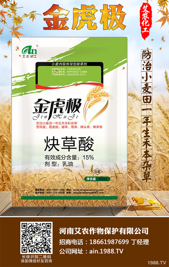 ���׳��݄��r��