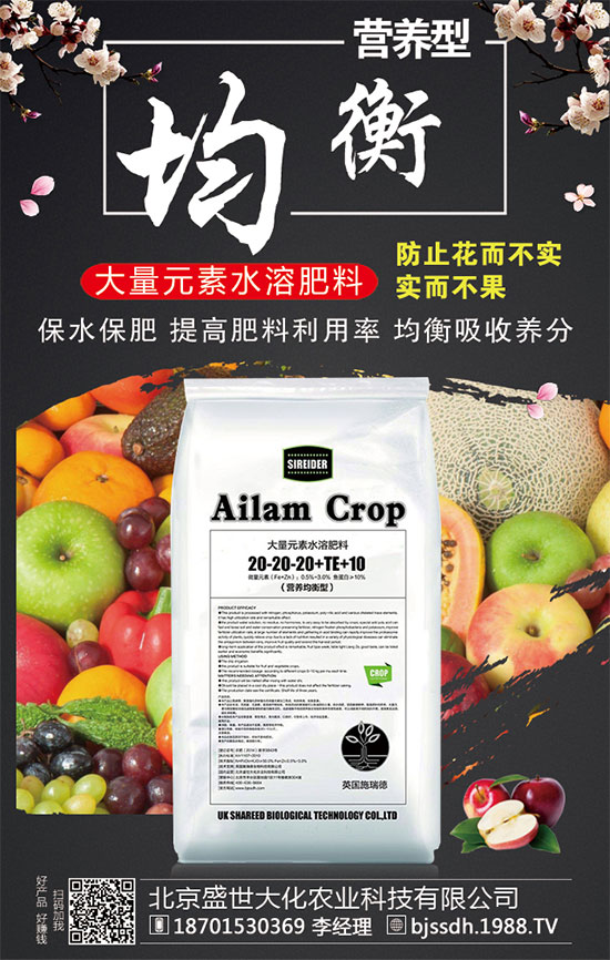 ���ӵĠI�B(y��ng)������t���ֵĹ�Ч�c������