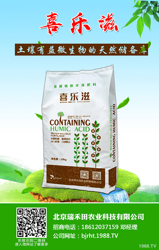 �����~Ƭ�l(f��)�S����ô�����������~Ƭ�l(f��)�S��ô���Σ�