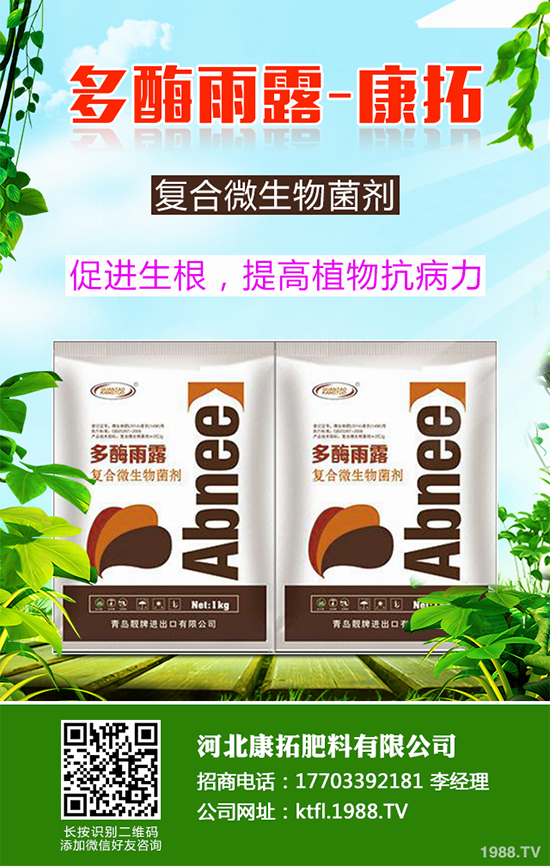 11�·��r(n��ng)�°�������Щ��2019�ﶬ�߲˷Nֲָ��