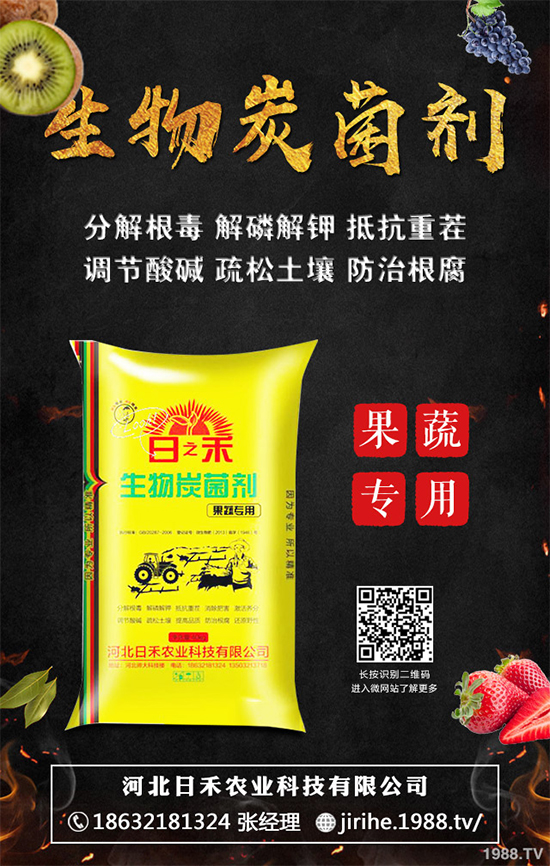 ���[��ֲ�������ˆ᣿���[��ֲ����ֲ���������