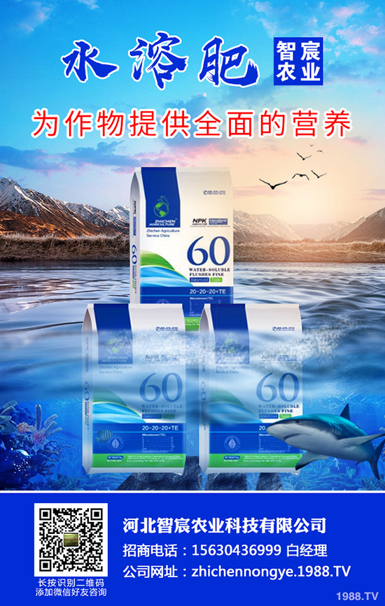 ���ӽ�����ʲôԭ����ɵģ����ӽ�����η�����