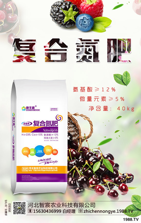 2019.11.29������ӯ̝��߅��ԇ̽���������������Ј���r��