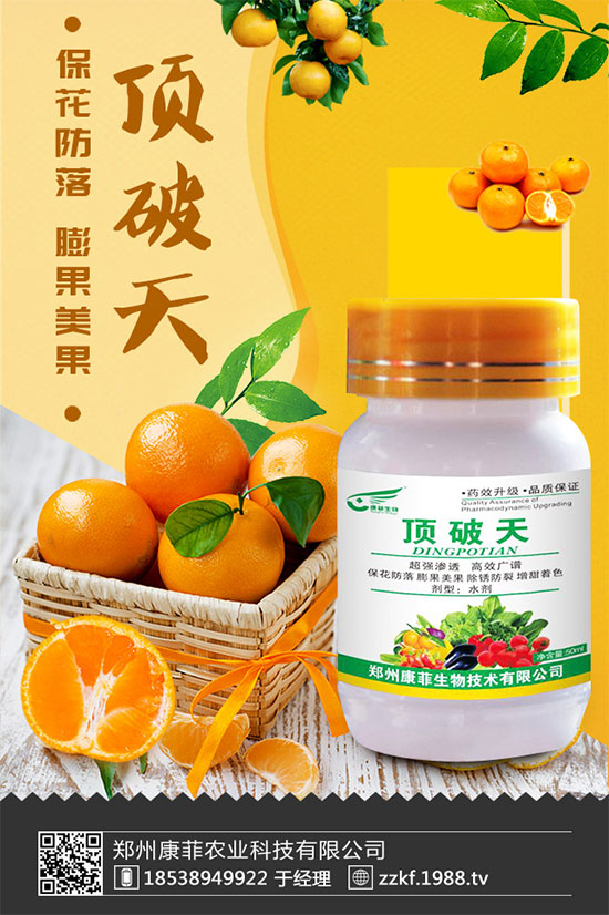 ���ٞ�ʲô���S�~�������S�~�Ľ�Q��ʩ��