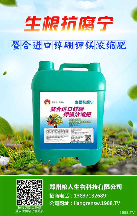 ���E����Щ�I�B(y��ng)�rֵ�����E�ĠI�B(y��ng)�rֵ����Ч����