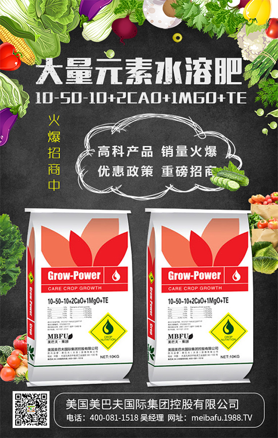 2020��Nֲʲô�߲˒��X����2020��Nֲʲô�߲�ǰ���ã�