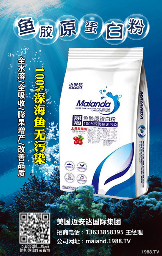     2020�������r������Xһ�ã����ٷNֲǰ����ô����ٍ�Xô��