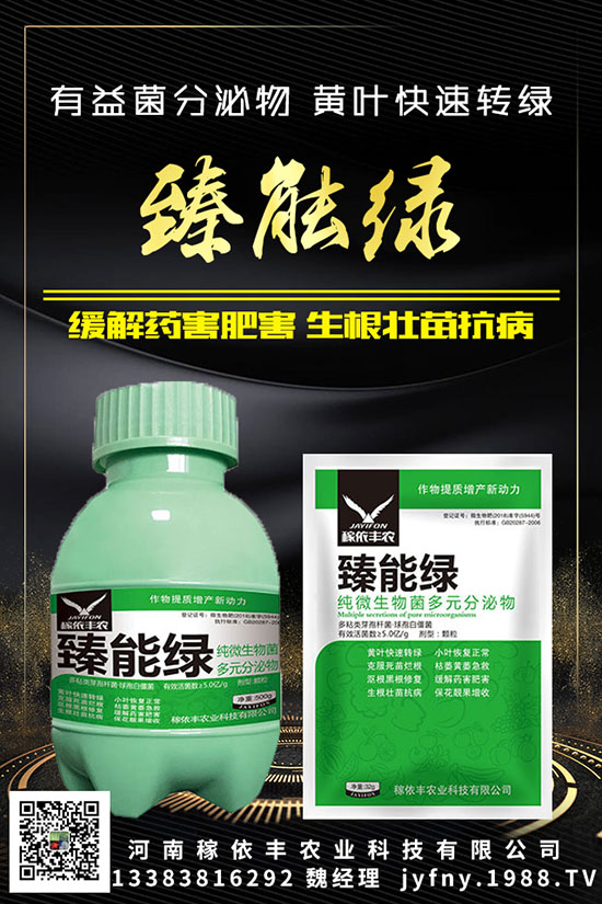 ��N�S�ʺܳ�Ҋ��Ԫ�غ�������������Ҫ֪���c�M��������