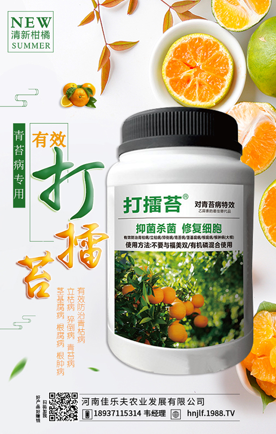 �����}���������Y�� �����}�����������η���