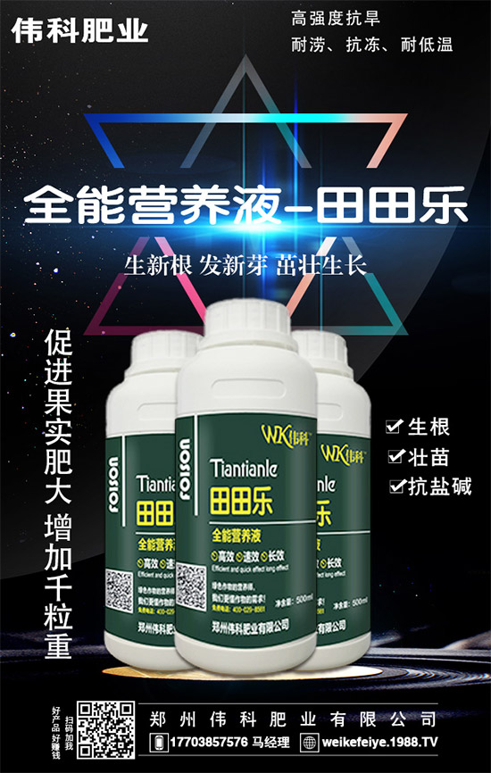     ���ӵĠI�B(y��ng)�r(ji��)ֵ����Щ����Ч�c��������Щ��������Щ��Ⱥʳ����