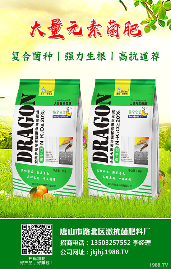 ������۲�����ЩΣ����ԓ��η��Σ������������