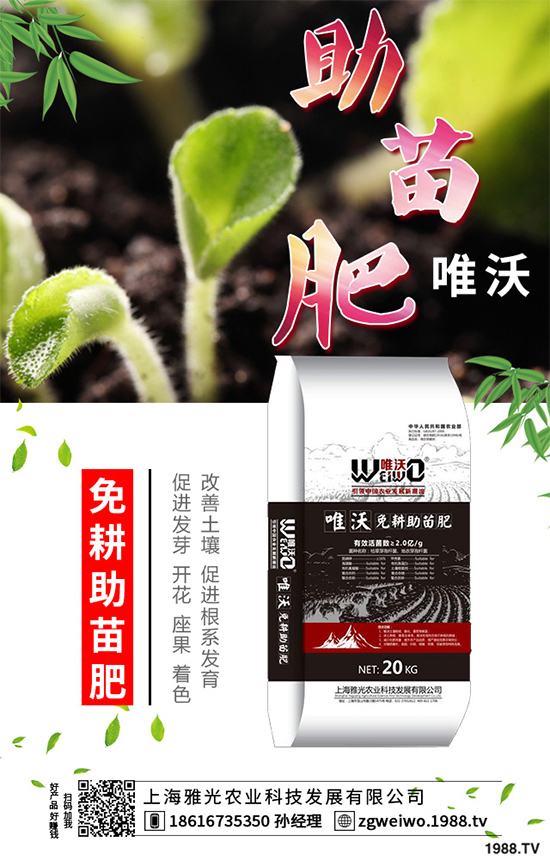     ɽˎʲô�r(sh��)�������ɽˎ���A�ط�������Щ��