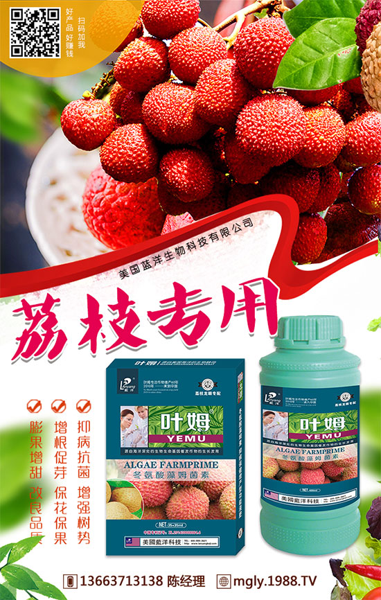 �t�탦�ص��������t�탦������Щ������