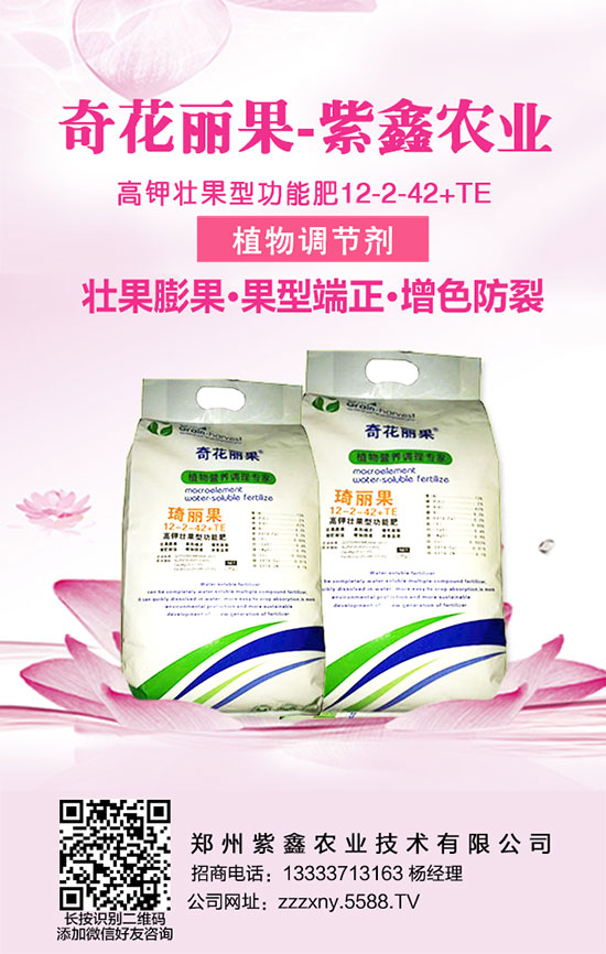     �v�^���껯���߄�(sh��)�����ȟ���䣿����