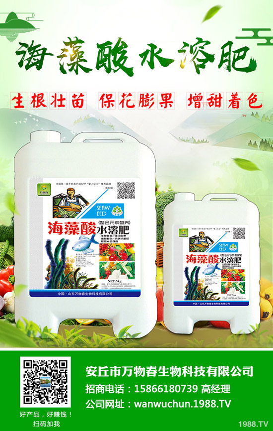 �＾��ηN�ô�ײˣ���Ҫע��ʲô��