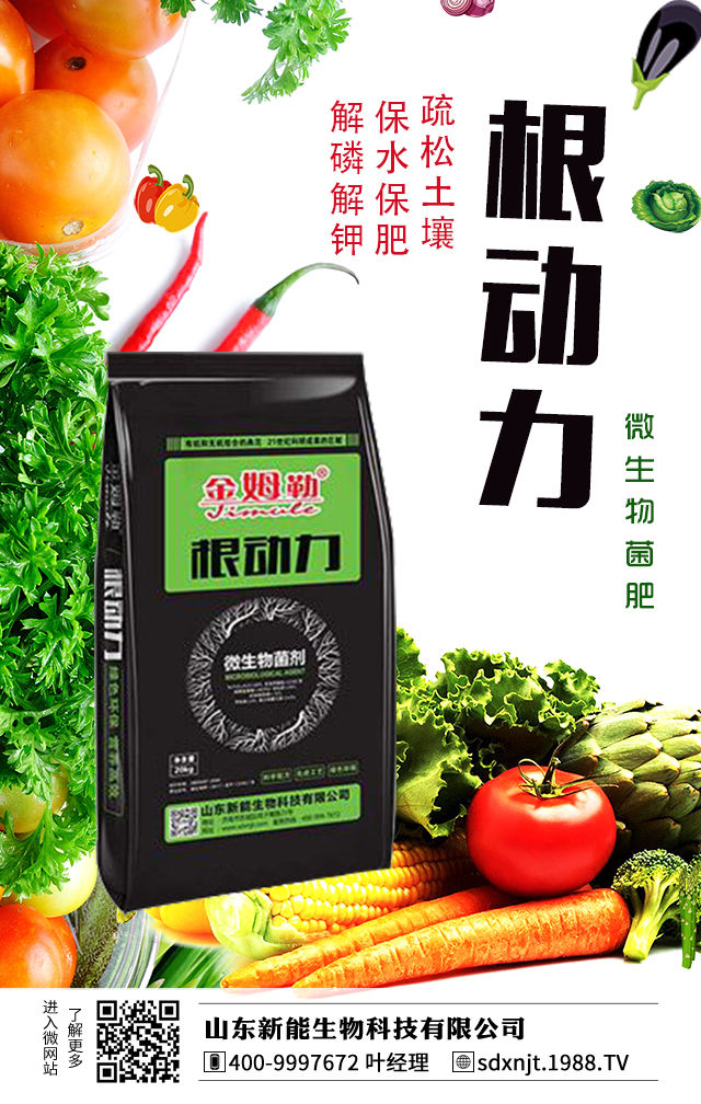 �R��������������νo�R���ʩ����