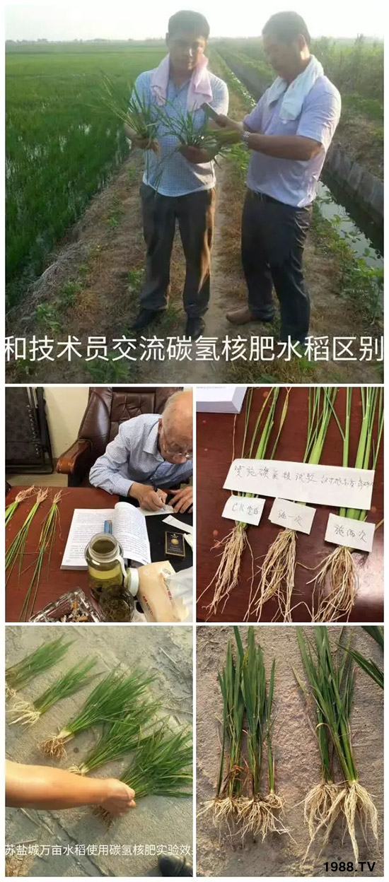 上百家媒體報(bào)道,打造超過歐盟食品標(biāo)準(zhǔn)作物!碳?xì)浜朔示褪沁@么火爆!