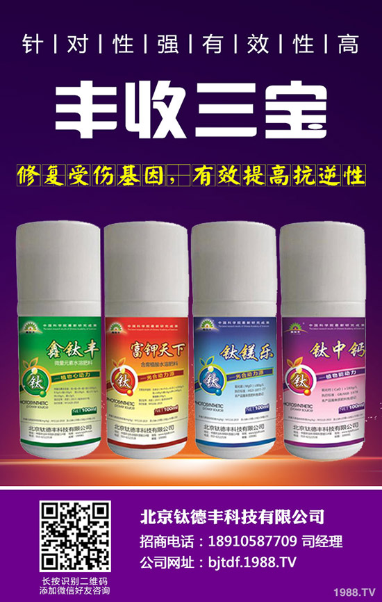 �������ʩ�ʲ��ܸ߮a(ch��n)������߮a(ch��n)ʩ�ʼ��g(sh��)��