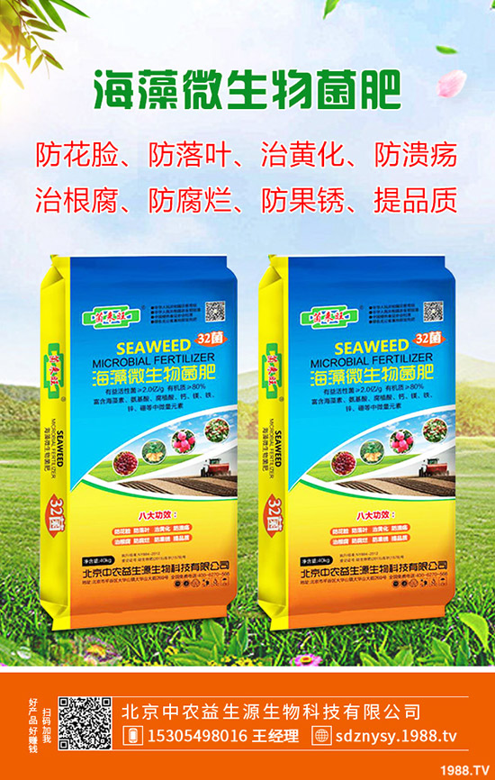 ����ʲô�r��Nֲ������һ����³�����