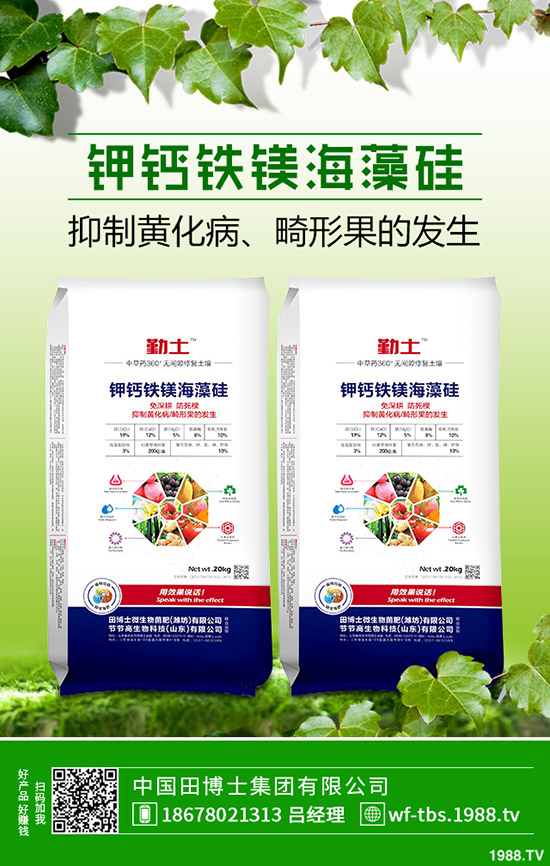 �ﶬ�����S����ηNֲ���ﶬ�S�ϵķNֲ����������������