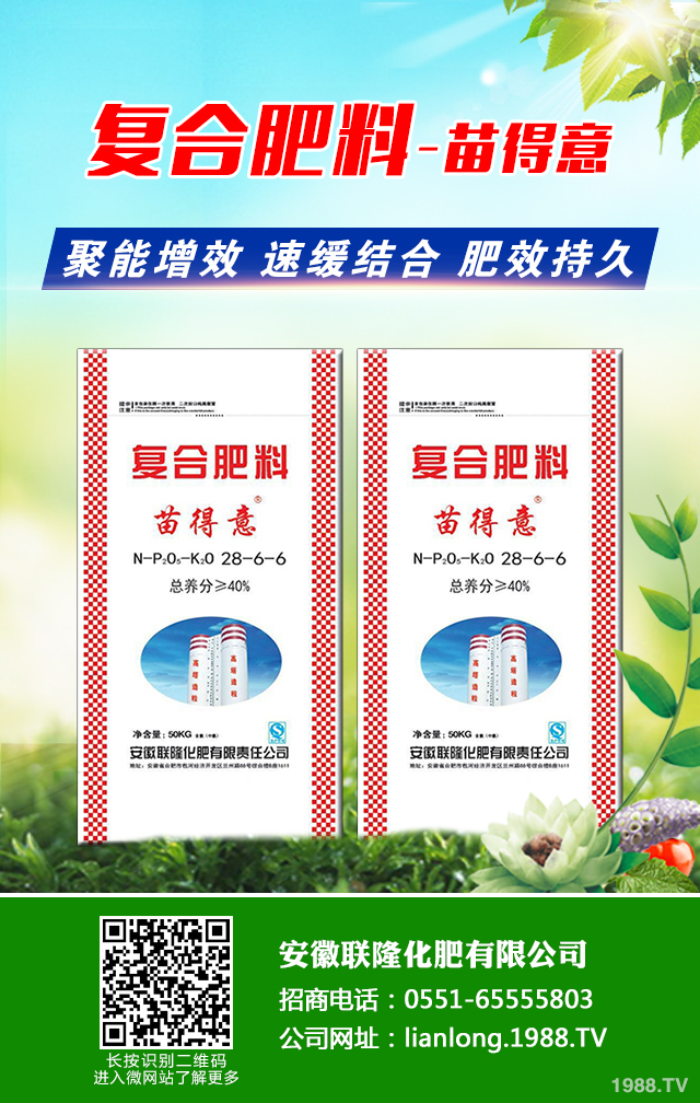 �t��������ô�������t������ȫ�����