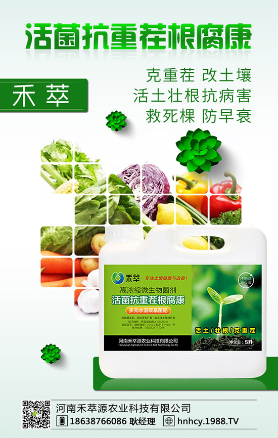 ����÷��ô�޽�������÷�޽ӷ�����