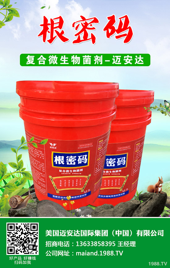 西葫蘆什么時(shí)候種植?西葫蘆種植技術(shù)!