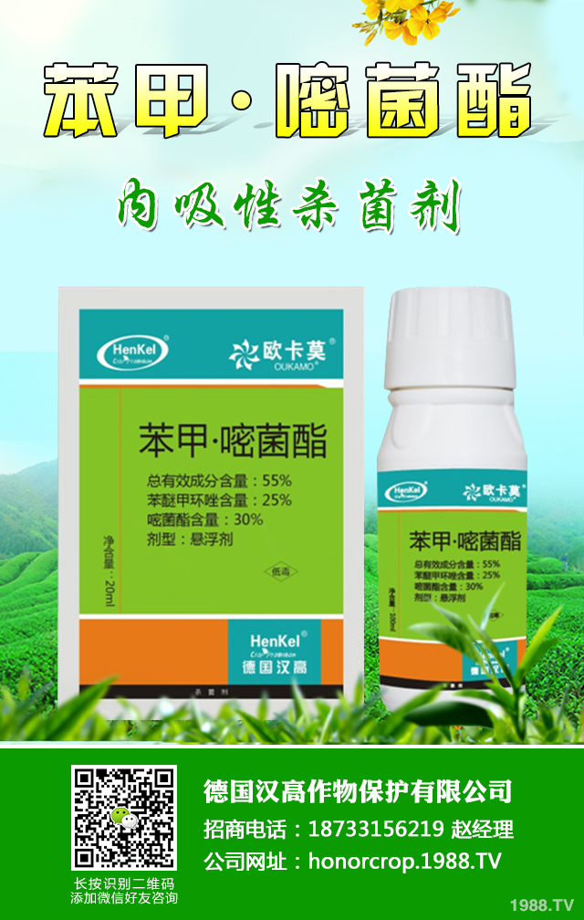 ���[˪ù����ô�k�����[˪ù�����μ���