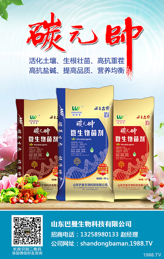     ������ں�������������@�r(ji��)�������߄�(sh��)����2019-9-16