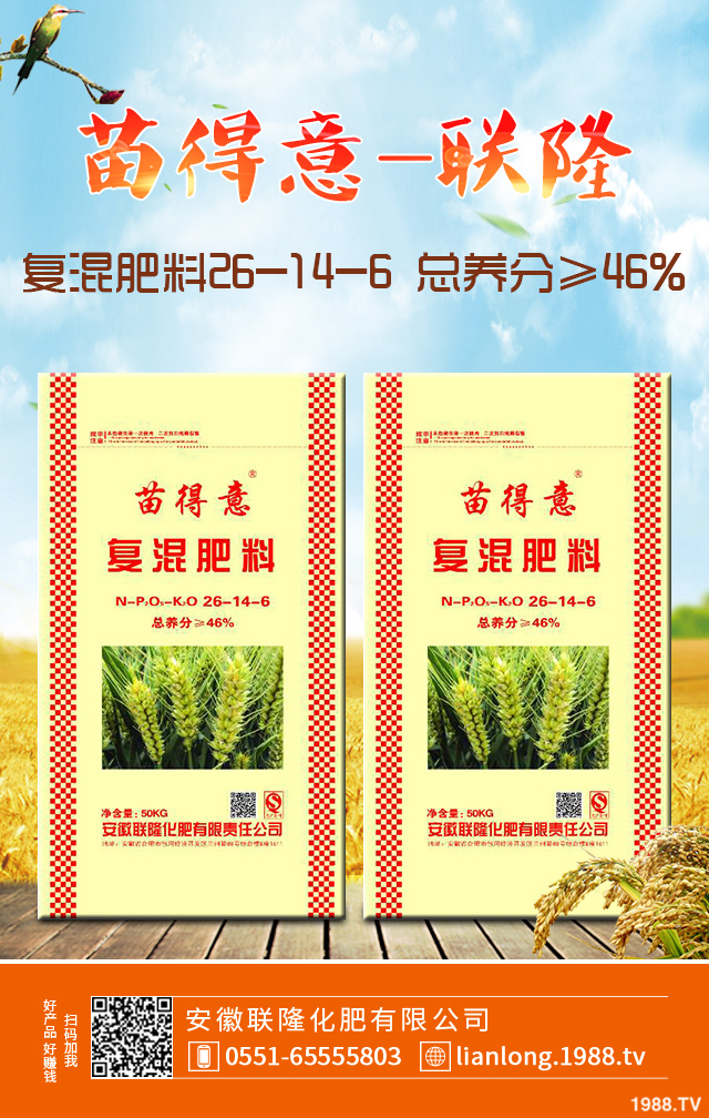 С����ô����Ч������С�����������g����