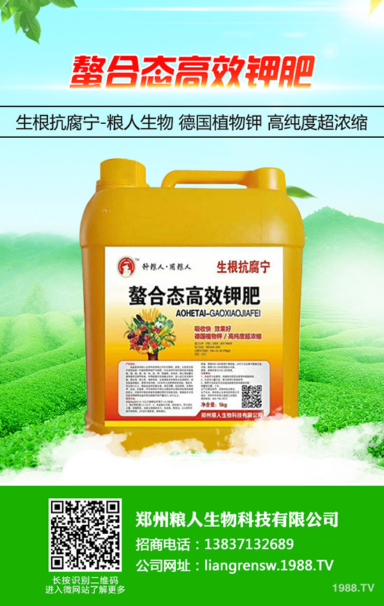 ���y�����ʩ�������y���߮a(ch��n)ʩ��Ҫ�c(di��n)��