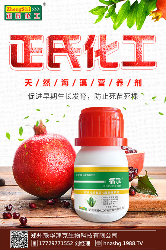 ���y����ʲô���������y���Ĺ�Ч�cʳ�ý��ɣ�