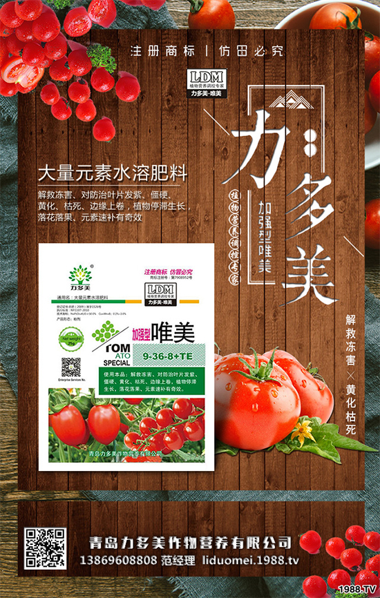 �㶹ԓ��ô�N���㶹�Ĳ��N�������Nֲ�������g