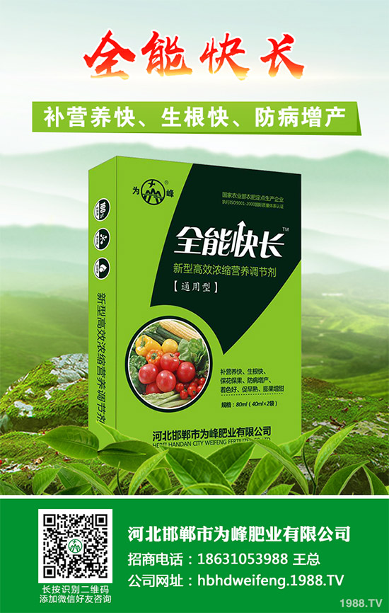 ����������Щ��̎������Ĺ�Ч���ü�ʳ�ý���