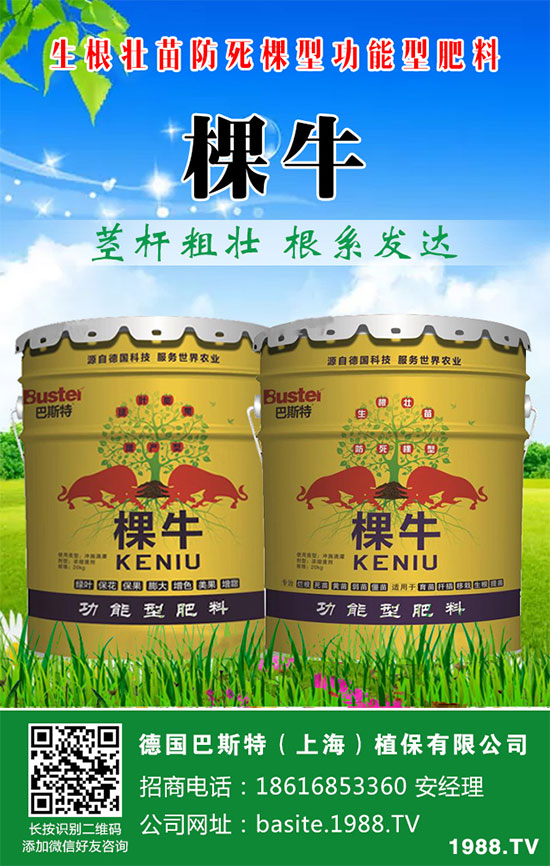 ���[���ʩ�������[�ƌW������ʩ�ʷ�����