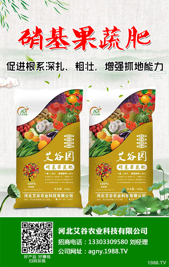 ����ԓ��ô�ԣ�����ĠI�B(y��ng)�Է���ע�����