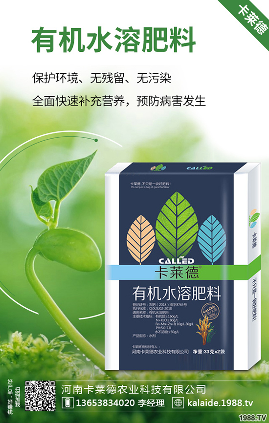 �G�}�L��̫�L��ô�k���G�}���޼���������Щ��